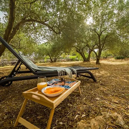 Дом отдыха Estate 